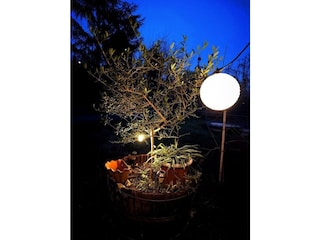 Blick auf den Garten 01
