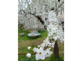 Narniandum Est - Blick auf den Garten 05
