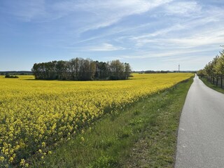 Radweg von Neu Schloen nach Waren