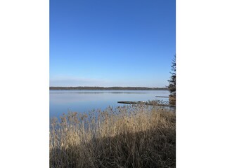 Torgelower See