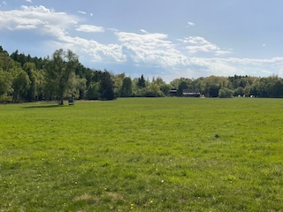 Große Wiese direkt vor dem Haus (Blick auf das Lokal)