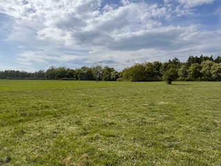 große Wiese vor dem Haus