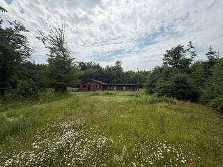 Haus Waldkater mit Auffahrt zum Haus