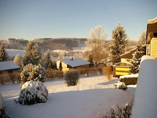 Ferienhaus Meschede Außenaufnahme 8