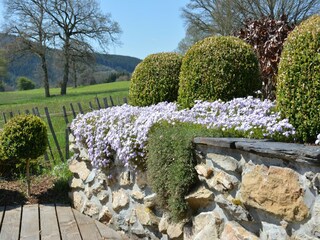 Ferienhaus Trois-Ponts Außenaufnahme 10