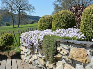 Ferienhaus Trois-Ponts Außenaufnahme 3