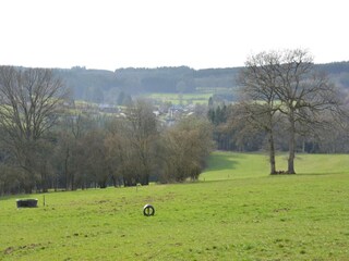 Vakantiehuis Trois-Ponts Omgeving 32