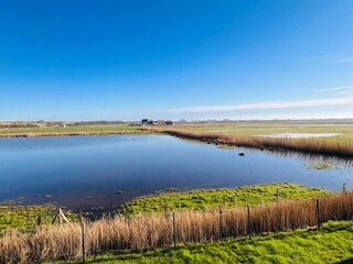 Vakantiehuis Wenduine Omgeving 15