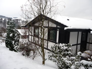 Ferienhaus Hennesee Blick Hasselt28