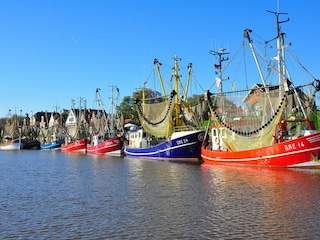 Ferienwohnung Greetsiel Umgebung 16