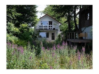 Sicht vom Wasser aus zum kleinen Haus.