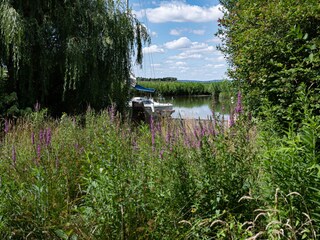 Wilder Garten mit Blick auf´s Steinhuder Meer.