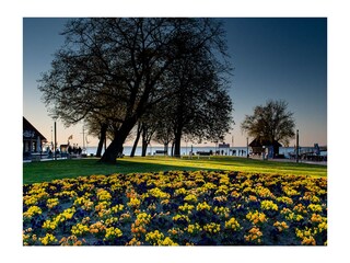 Im Ortskern von Steinhude.