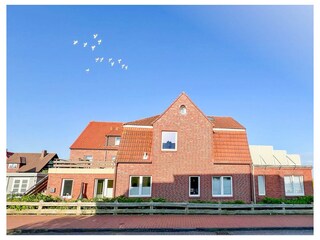 Vakantieappartement Juist Buitenaudio-opname 16