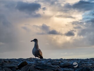 Apartamento de vacaciones Hooksiel  28