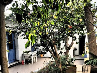 Apartment Sitia Environment 12