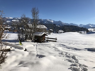Unser Garten im Winter