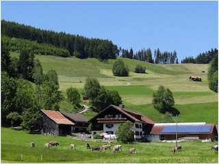 Unser Bauernhof im Sommer