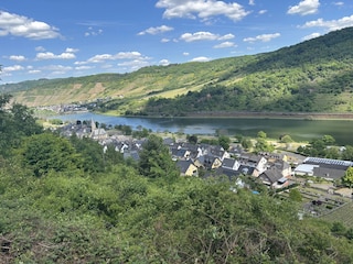 Ferienwohnung St. Aldegund Umgebung 33