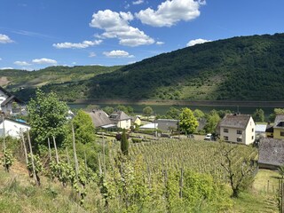 Ferienwohnung St. Aldegund Umgebung 34