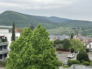 Blick aus der Ferienwohnung