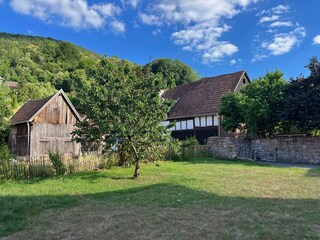 Blick von der Terrasse in den Garten