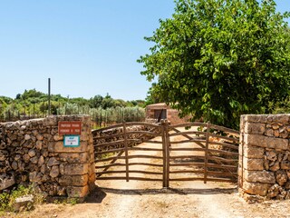 Villa Sant Lluís Außenaufnahme 8
