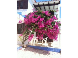 Apartment Cala en Blanes Outdoor Recording 6