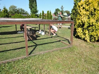 Casa de vacaciones Dziwnowek Entorno 25