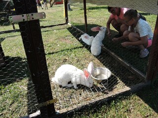 Casa per le vacanze Dziwnowek Ambiente 20