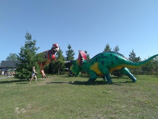 Casa per le vacanze Dziwnowek Ambiente 25