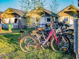 Holiday house Dziwnowek  23