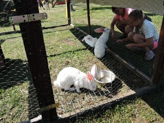 Casa per le vacanze Dziwnowek Ambiente 16