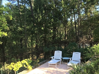 Ferienhaus Bagnols-en-Forêt Außenaufnahme 3