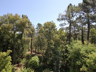 Vakantiehuis Bagnols-en-Forêt Buitenaudio-opname 7