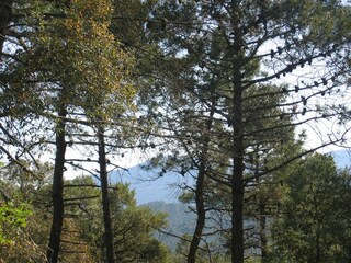 Holiday house Bagnols-en-Forêt Outdoor Recording 3