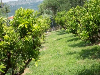 Appartement Kastel Novi Omgeving 17