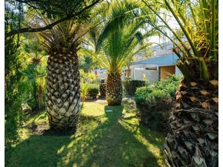 Apartment Castiglione Della Pescaia Außenaufnahme 3