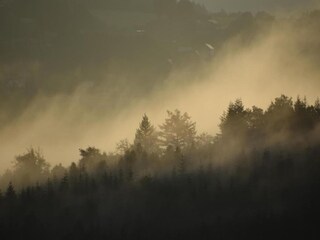 Vakantiehuisje Stavelot Omgeving 30