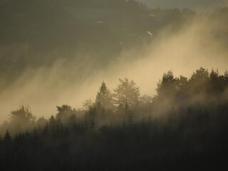 Maison de vacances Stavelot Environnement 32