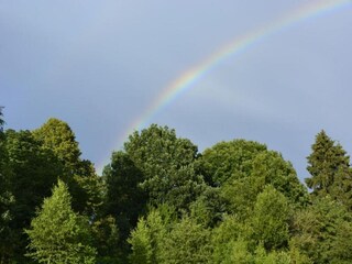 Casa de vacaciones Stavelot Entorno 30