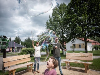 Holiday house Großschönau  18