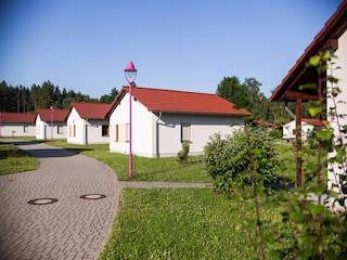Ferienhaus Großschönau Außenaufnahme 5