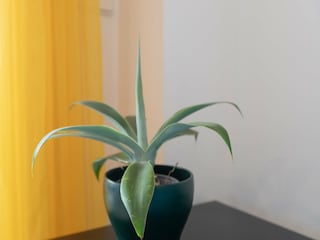 Apartment Manilva Außenaufnahme 36