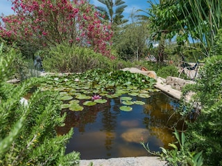 Villa Capdepera Außenaufnahme 50