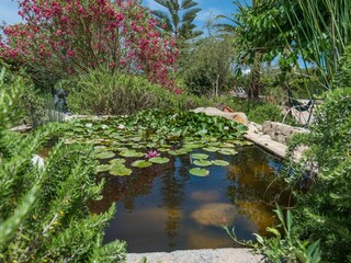 Villa Capdepera Buitenaudio-opname 38