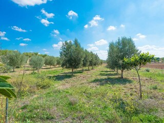 Villa Biniamar Outdoor Recording 29