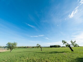Villa Biniamar Outdoor Recording 42