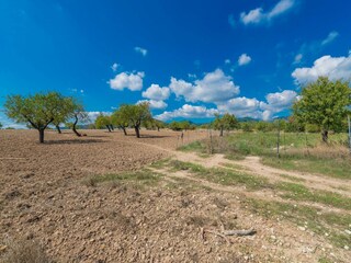 Villa Biniamar Outdoor Recording 31