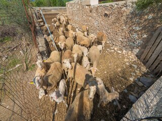 Villa Biniamar Buitenaudio-opname 32